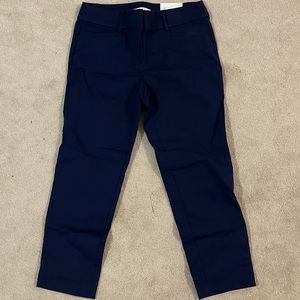 LOFT Riviera Pants